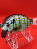 4” FWL GILL  Pinfish