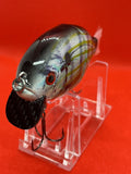 4” FWL GILL  Pinfish