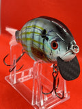 4” FWL GILL  Pinfish