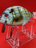 4” FWL GILL  Pinfish