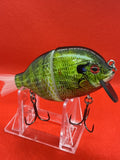 4” FWL GILL Sunfish