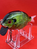 4” FWL GILL Sunfish