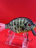 4” FWL GILL Yellow-belly