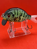 4” FWL GILL Yellow-belly