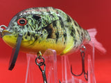 4” FWL GILL Yellow-belly