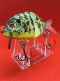 4” FWL GILL Yellow-belly