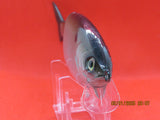 7" 3 PCS Custom Colors Wake Shad Silver Shad