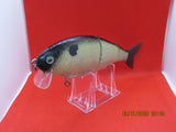 7" 3 PCS Custom Colors Wake  Y Shad