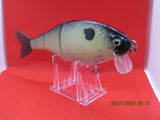 7" 3 PCS Custom Colors Wake  Y Shad