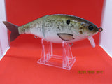 7" 3 PCS Custom Colors Wake  Dirty Shad