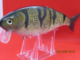7" 3 PCS Custom Colors Wake Shad Dark Perch