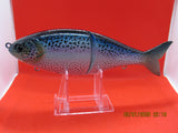 7" 2 pc Glide  Shad  Rainbow