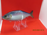 7" 2 pc Glide  Shad  Rainbow