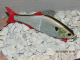 8.5” Alabama shad sinking