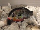 4” FWL GILL True red-belly sunfish