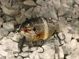 4” FWL GILL  Brown redear