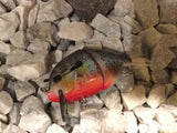 4” FWL GILL True red-belly sunfish