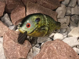 4” FWL GILL  hybrid