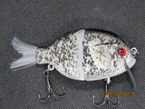 4” FWL GILL Black Crappie