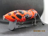 6" FWL Muskrat  Spotty red