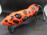 6" FWL Muskrat  Spotty red
