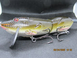 6" FWL Muskrat. Moss