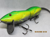 6" FWL Muskrat Sreeming