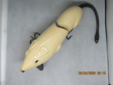 6" FWL Muskrat Bone