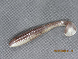 10 pcs of FWL swimmers 3.8" Goby