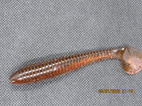 10 pcs of FWL swimmers 3.8" Brown Goby