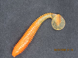 10 pcs of FWL swimmers 3.8" pumpkin