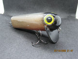 FWL Cicada 2