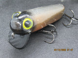 FWL Cicada 2