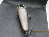 FWL Cicada 2