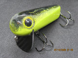 FWL Cicada 1