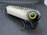 FWL Cicada 5