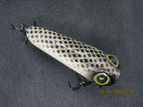 FWL Cicada 5