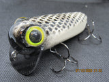 FWL Cicada 5