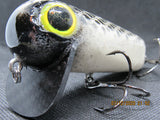 FWL Cicada 5