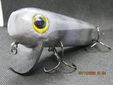 FWL Cicada 6