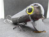 FWL Cicada 8