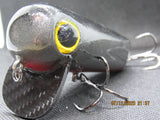FWL Cicada 8