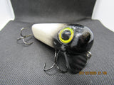 FWL Cicada 10