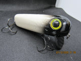 FWL Cicada 10