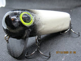 FWL Cicada 10