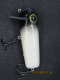 FWL Cicada 10