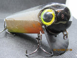 FWL Cicada 9
