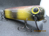 FWL Cicada 11