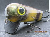 FWL Cicada 11