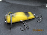FWL Cicada 11